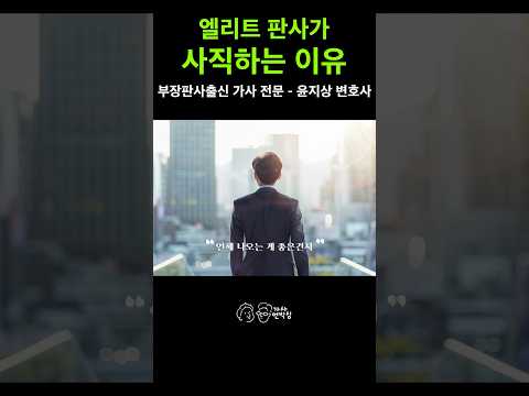 판사에서 변호사로 전향할 때 고민하는 현실적인 퇴직 타이밍과 진로